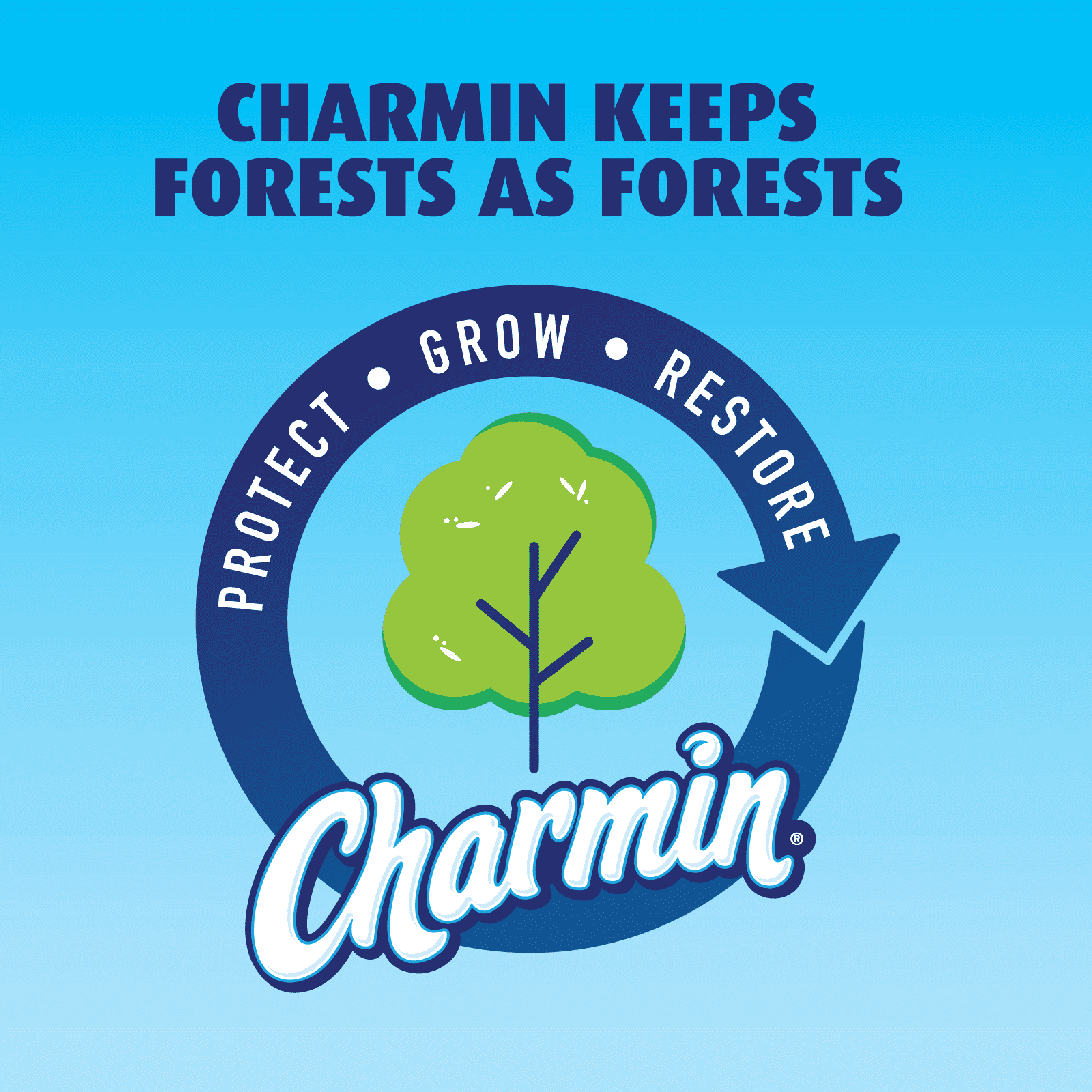 Charmin Ultra Strong Toilet Paper - 9 Mega Rolls
