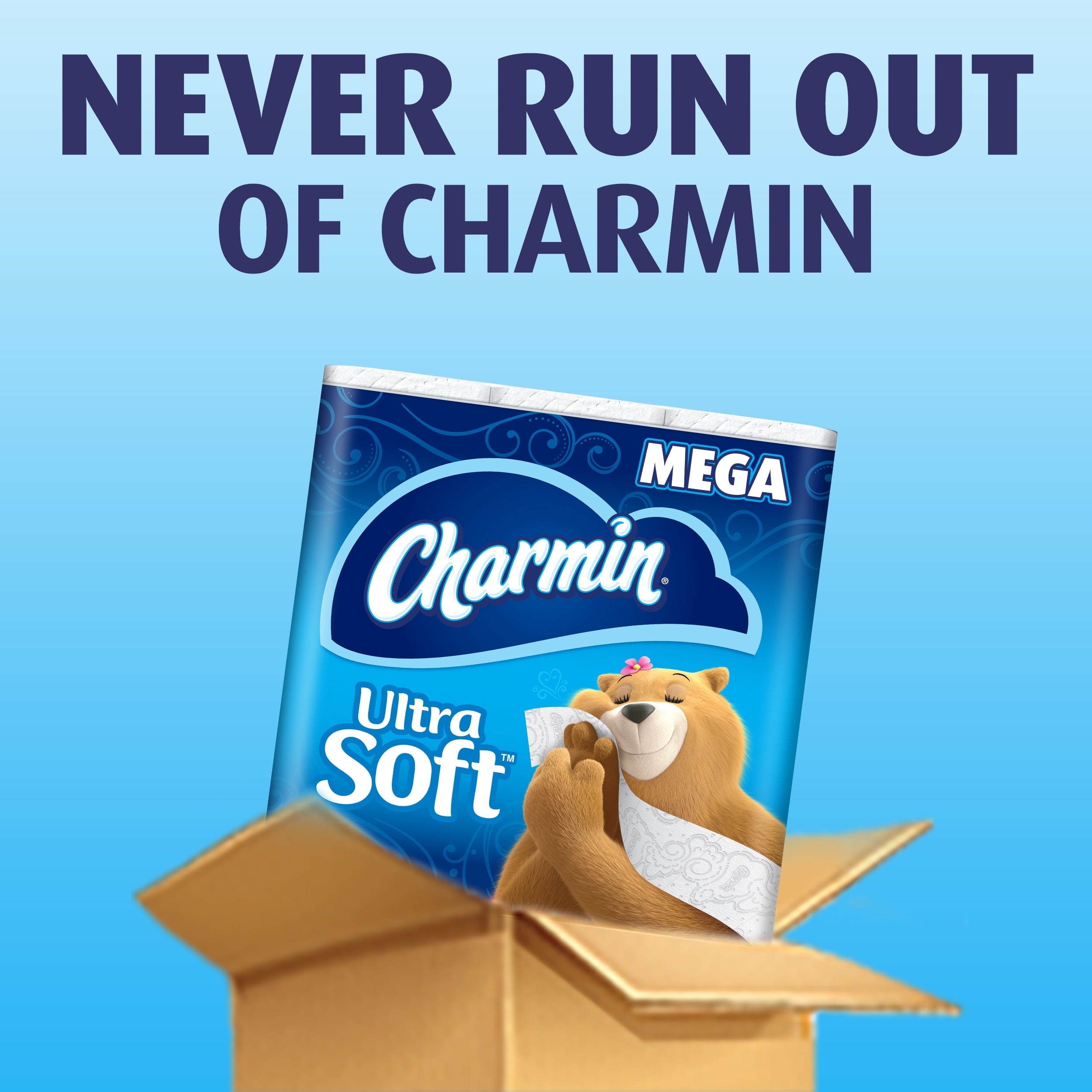 Charmin Ultra Soft Toilet Paper - 12 Mega Rolls, 264 Sheets per Roll