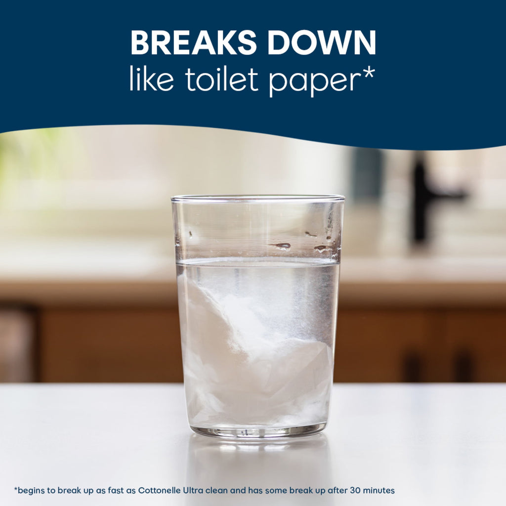 Cottonelle Fresh Care Flushable Wet Wipes - 1 Resealable Bag