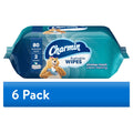 Charmin Flushable Wipes - 2 Flip-Top Packs, 40 Wipes per Pack, 80 Total Wipes - 6-Pack