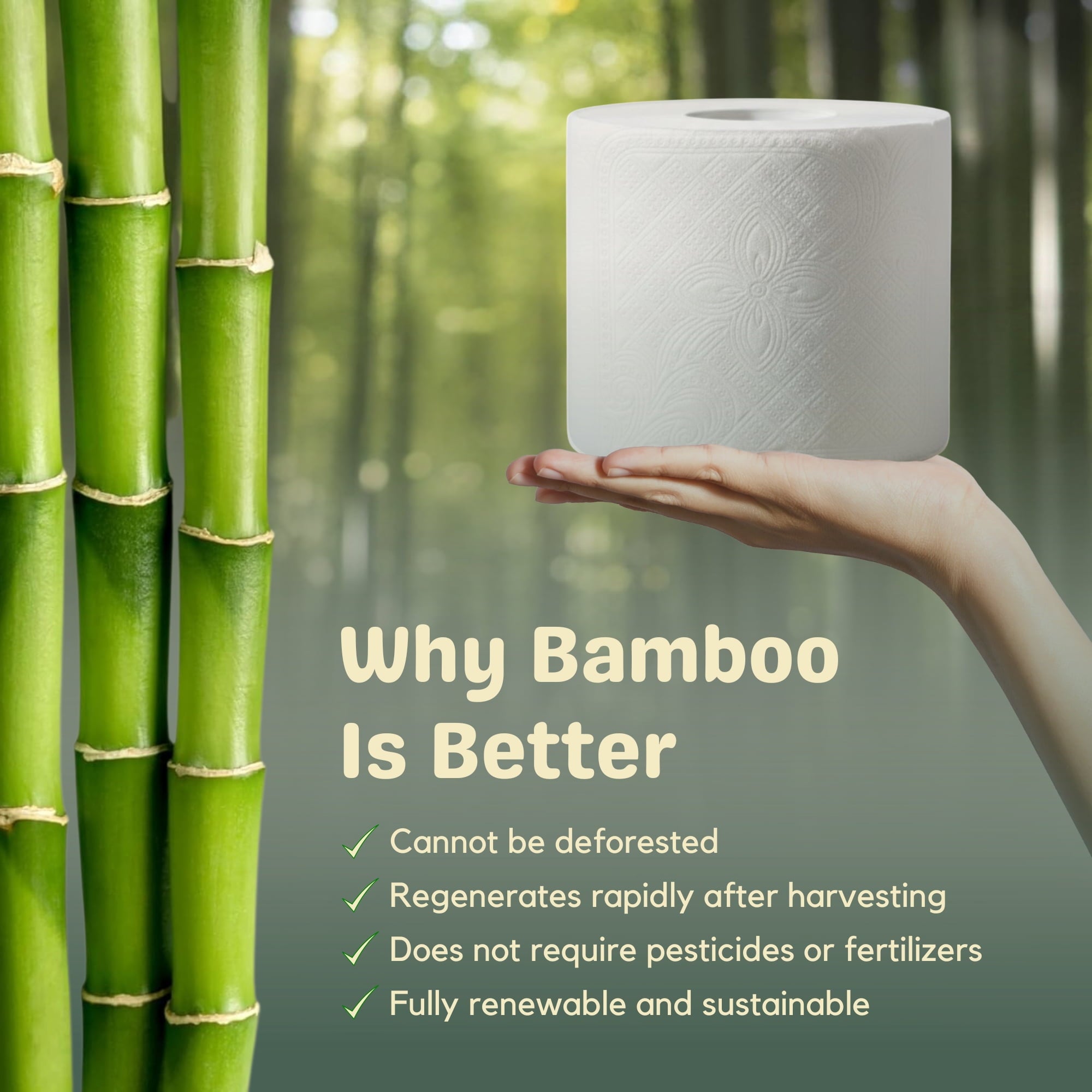 SRIAA Premium Organic 100% Bamboo Tree-Free Toilet Paper - 12 Mega Rolls, 3-Ply, 300 Sheets per Roll, Septic Safe, Plastic Free, FSC Certified