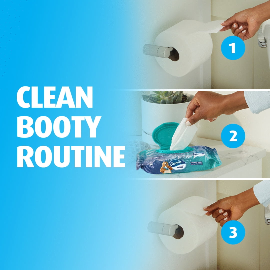 Charmin Flushable Wipes - 2 Flip-Top Packs, 40 Wipes per Pack, 80 Total Wipes - 6-Pack