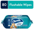 Charmin Flushable Wet Wipes - 2 Packs, 80 Wipes Total