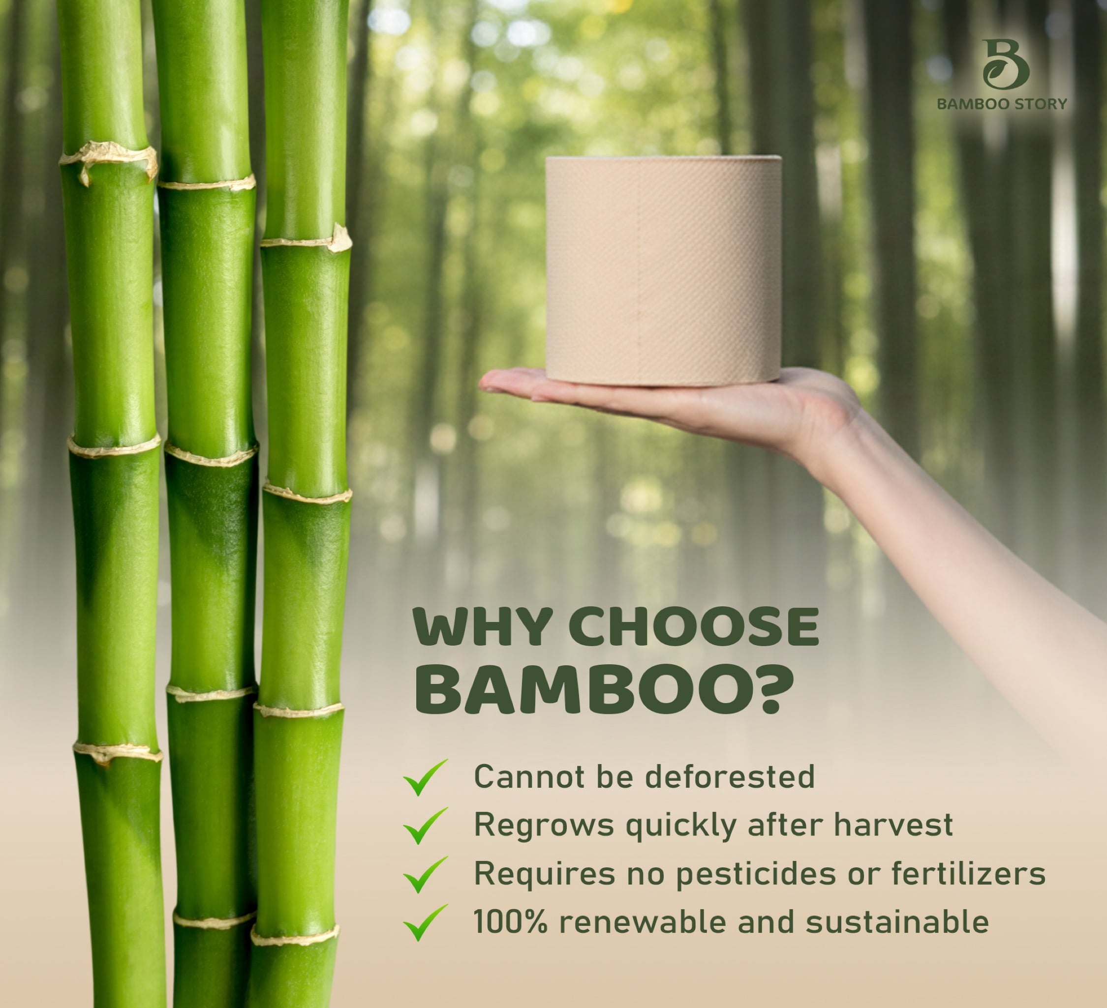 Bamboo Story Bamboo Toilet Paper Unbleached – 6 Rolls - 3-Ply, 350 Sheets - Hypoallergenic, Chemical Free, Septic Safe, FSC Certified - Non Toxic, Natural Bamboo Tissue